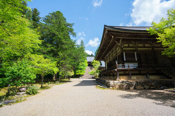 京都　神護寺の新緑