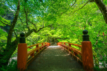 京都　西明寺の指月橋（しげつきょう）と新緑