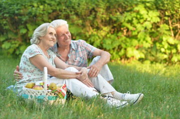 Loving elderly couple having a picnic