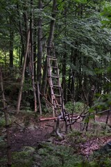 stairway hut in the woods