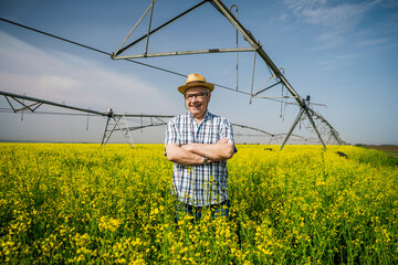 Proud senior farmer is standing in his rapeseed field.