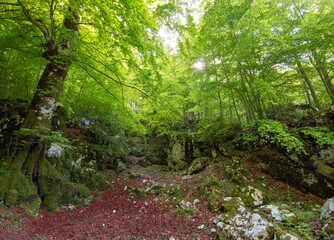 Monte Semprevisa (Italy) - A view of the highest peak in the Monti Lepini, Lazio region, with an...