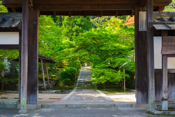 京都　一休寺の総門と新緑