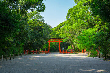 京都　下鴨神社の鳥居と糺の森