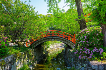 京都　下鴨神社の輪橋とツツジ