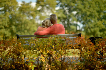 Naklejka na ściany i meble happy Senior couple sitting in park, back view