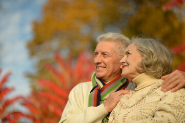 portrait of beautiful happy senior couple in park