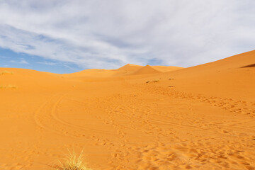 Sahara Desert. Footprints on the sand dunes.