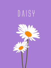 vector white daisy minimal flower illustration