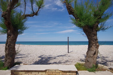 Two trees in the foreground, in the background there is a deserted pebble beach.