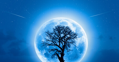 Lone dead tree with super full blue Moon "Elements of this Image Furnished by NASA"
