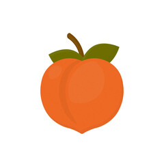 Peach. Sweet fruit. Isolated on white background.  Vector illustration.