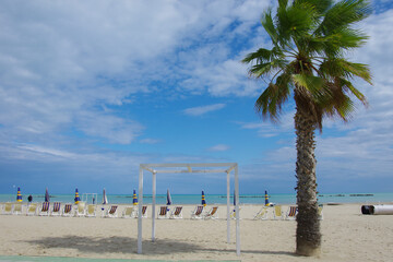 View of a beach with a palm tree in the foreground, in the background, deckchairs, closed umbrellas and the sea.