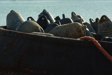 Polyethylene floating buoys for shellfish breeding