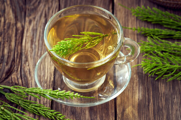 Herbal tea made from horsetail or equisetum - a medicinal plant
