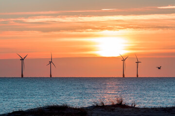 Obraz premium Tropical island sunset with offshore wind farm turbines on ocean horizon. Beautiful sunrise over the sea