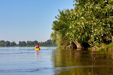 Woman in yellow kayak paddles near shoreline with trees at Danube river at summer morning