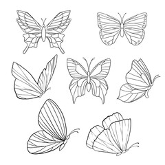Set of hand-drawn butterfly. Line art. Sketch vector