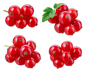 Red currant isolated. Currant red with leaves on white background. Currants on white. Red currant...