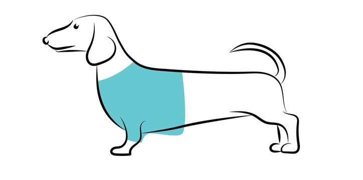 Image of a cute dachshund in a T-shirt. Line art. Vector illustration.