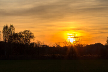 Sunset overt the field, sun rays among the trees