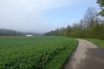 Landschaft in Donau-Ries