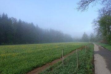 Landschaft in Donau-Ries