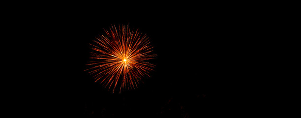 Fototapeta premium Bright festive fireworks against the night sky. Firework Fiery flowers during the holiday.