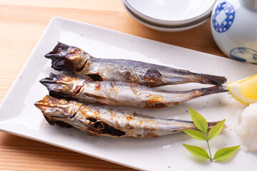 うるめ丸干しの炙り