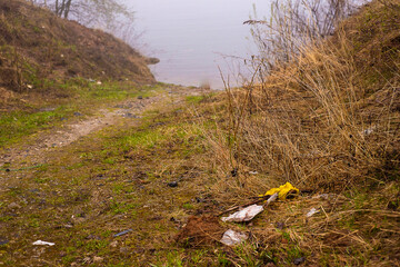 close-up-among the fresh young grass of fallen dry brown leaves lies discarded garbage, a plastic bottle, environmental pollution, selective focus