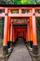 Fototapeta na wymiar The Senbon Torii (233 meters thousands of vermilion torii gates) of Fushimi Inari-taisha. The trails lead into the forest of the sacred mt. Inari.