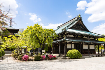 (東京都ｰ風景)青空の下の豪徳寺仏殿と三重塔	２