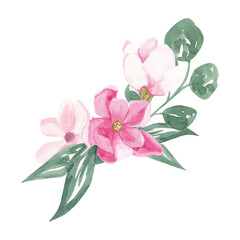 Watercolor pink marnolia, template card with white background