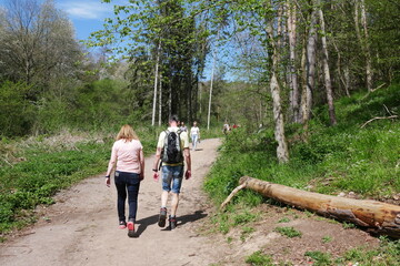 Wanderer im Frühjahr im Wald