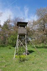 Hochstand im Frühjahr im Wald