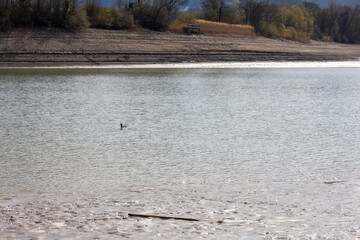 Abgelassener See mit Matsch und Schlamm 