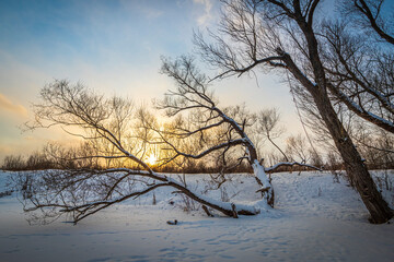 Winter sunrise over the frozen river and bare trees