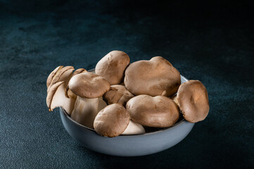 Eringi mushrooms on plate on a dark background. Pleurotus eringi. Vegan food concept. King Oyster Mushroom in a bowl.