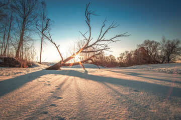 Fototapeta na wymiar Winter landscape with the frozen lake, forest trees and long diagonal shadows from the morning sun