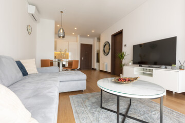 Interior of a modern open plan apartment