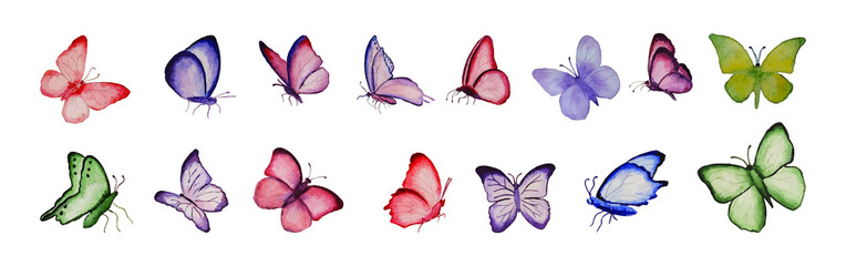 Vector drawing of watercolor butterflies highlighted on a white background