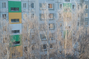 Courtyard by multi-storey buildings in winter with naked trees covered snow in winter cold day....