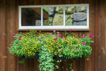 Fototapeta na wymiar Summer flowers on the brown wall next to the window.