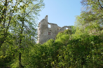 Fototapeta premium Burgruine im Wald