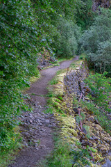 Old road in the forest of Flodalen.