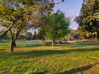 A public city park on a clear morning in New Delhi, India