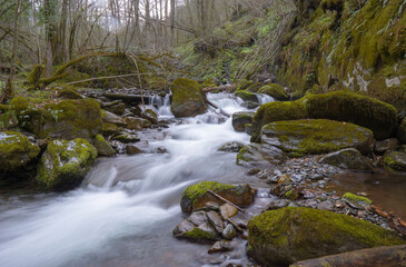 river surrounded by stones in forest