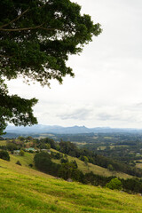 landscape with trees