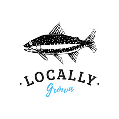 Drawing of trout in vector. Logo with lettering.