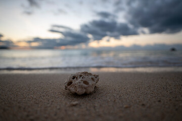 沖縄国頭村の海辺